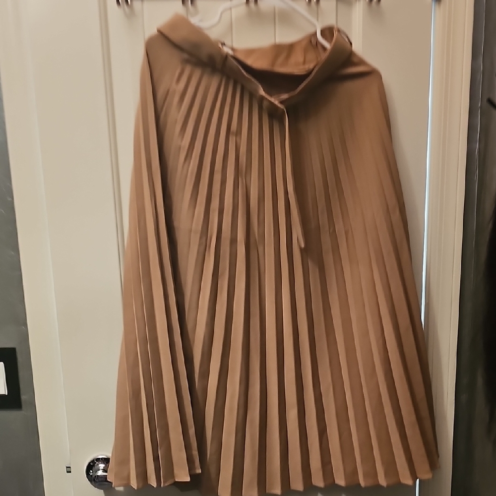 Zara Brown Maxi A-Line Pleated Skirt